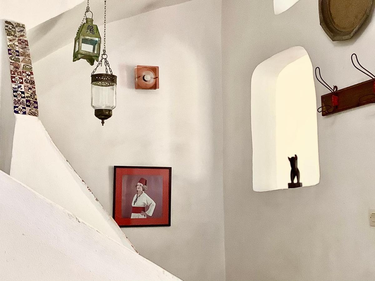 Dar 91 Apartment